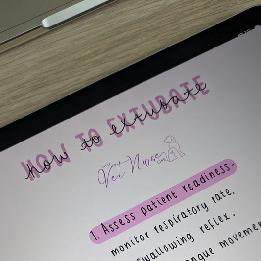 Anaesthesia: Extubation (Digital Download)