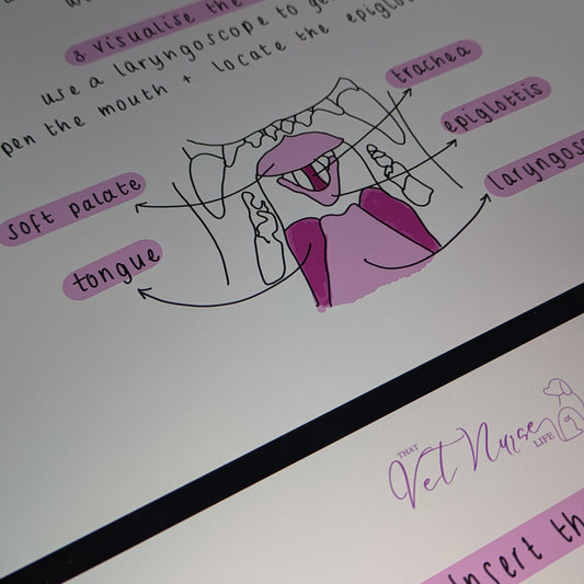 Anaesthesia: Intubation Technique (Digital Download)