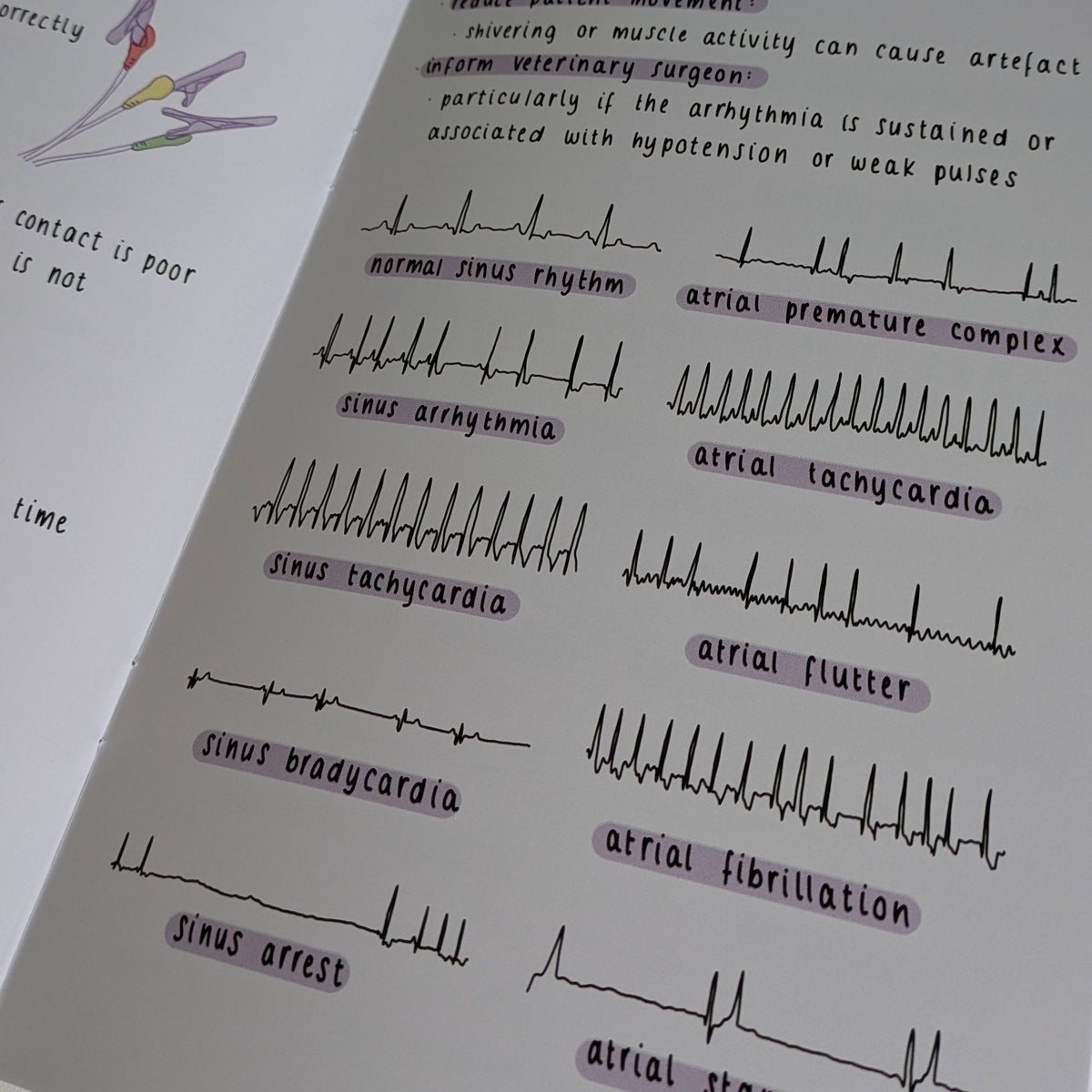 Anaesthesia Collection for Veterinary Nurses 3 A5 Booklets 100+ pages