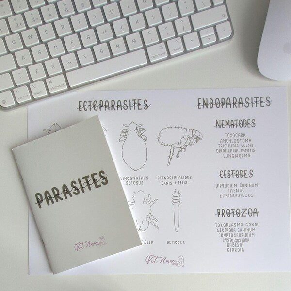 Parasite Bundle: Guide + Poster