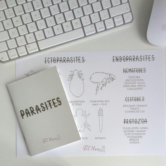 Parasite Bundle: Guide + Poster