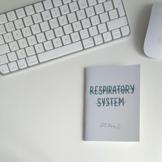 Respiratory System Guide