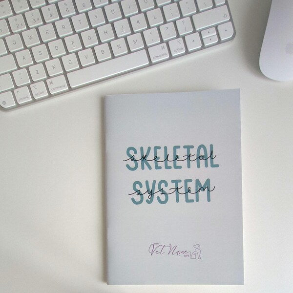Skeletal System Guide