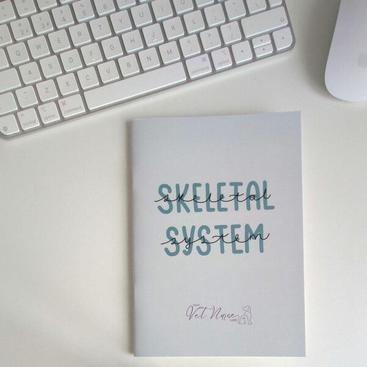 Skeletal System Guide