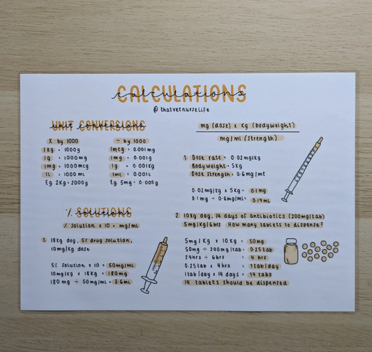 Medication Calculations Poster