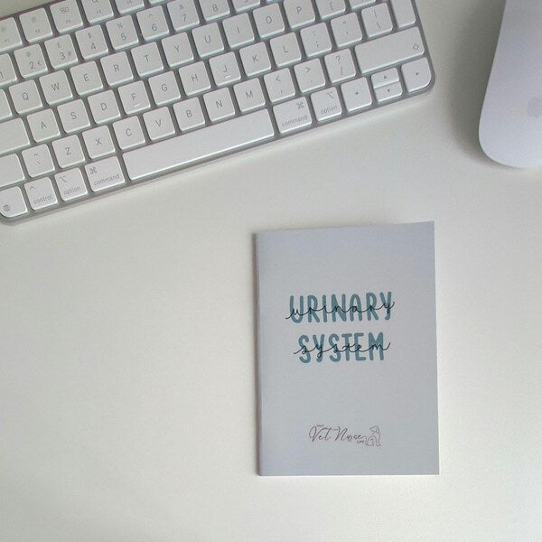 Urinary System Guide
