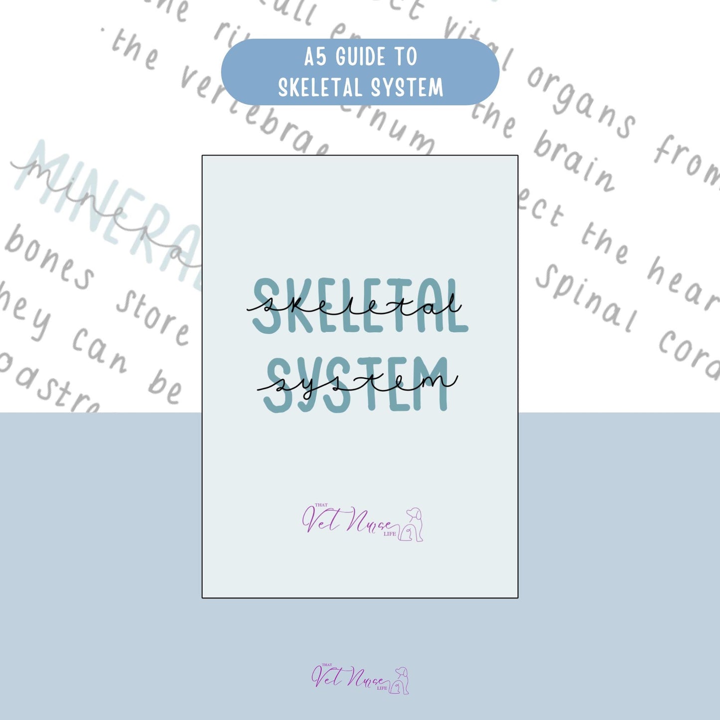Skeletal System Guide