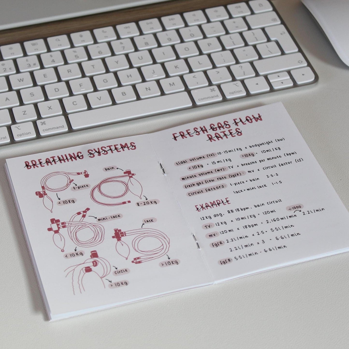 Vet Nursing Pocket Guide (Physical Copy)