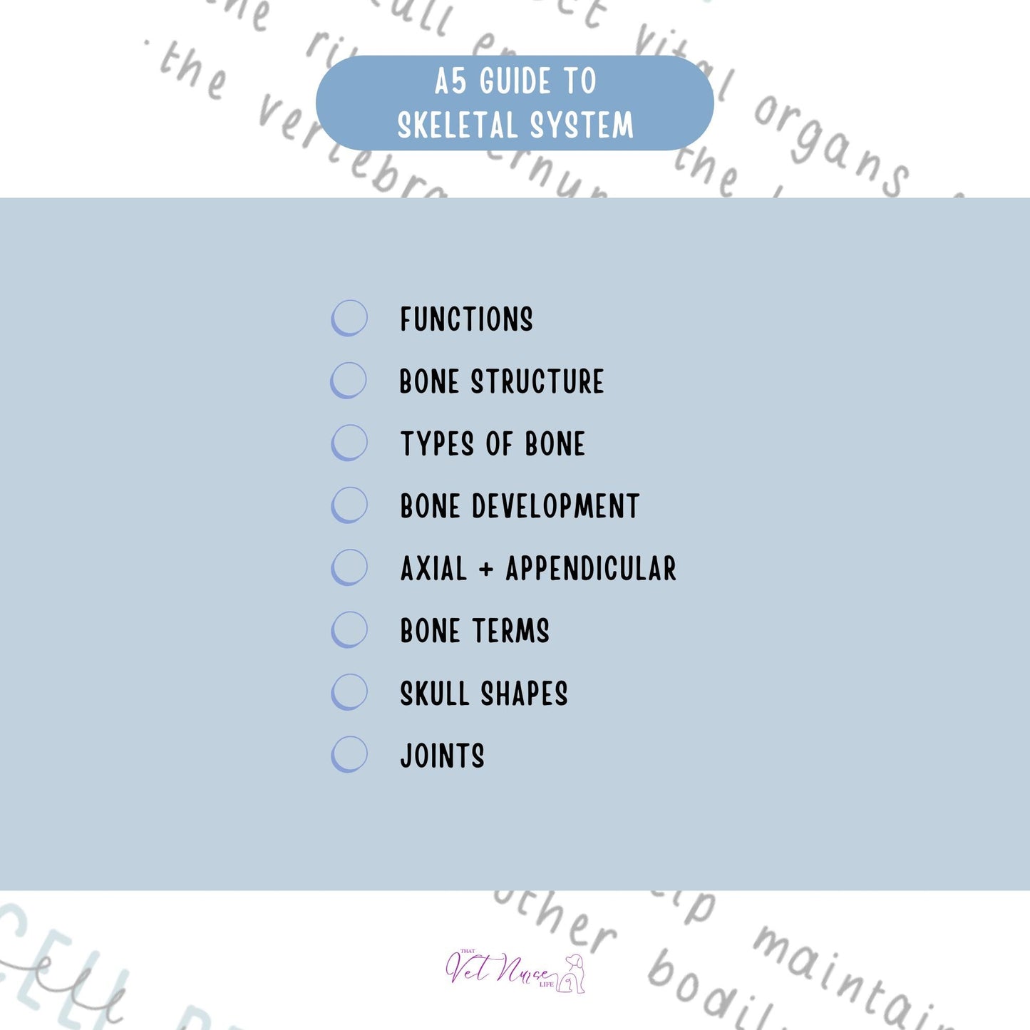 Skeletal System Guide