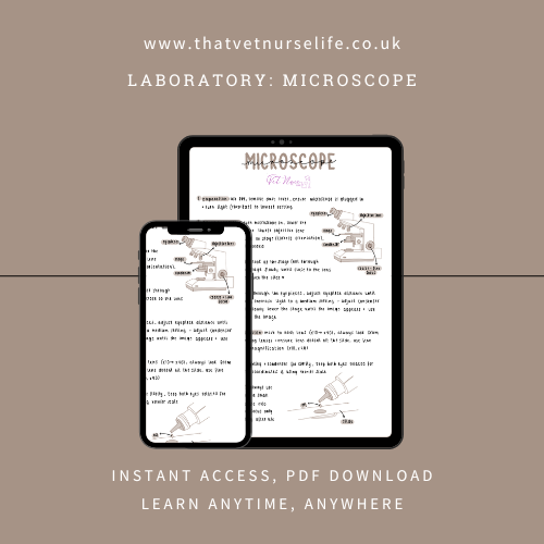 Laboratory: Microscope Use (Digital Download)