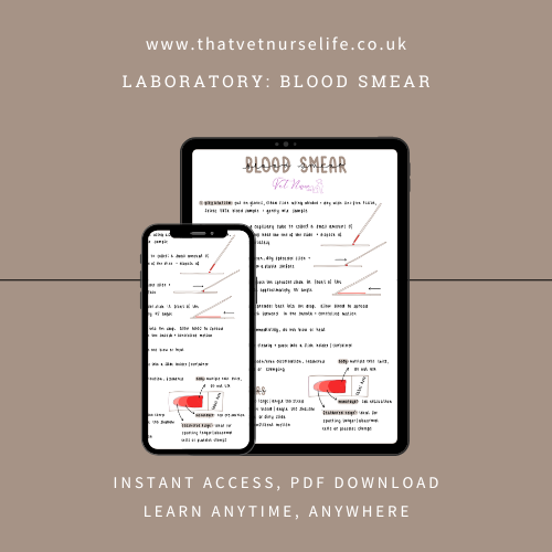 Laboratory: Blood Smear Technique (Digital Download)