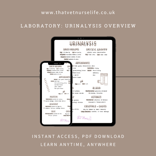 Laboratory: Urinalysis (Digital Download)