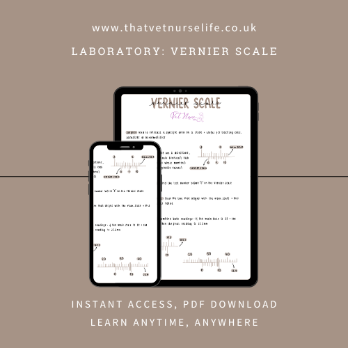Laboratory: Vernier Scale (Digital Download)